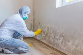 Best Real Estate Mold Inspection in Watsonville, CA