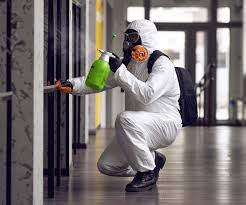 Best Black Mold Removal in Watsonville, CA