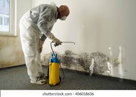 Watsonville, CA Mold Removal Company